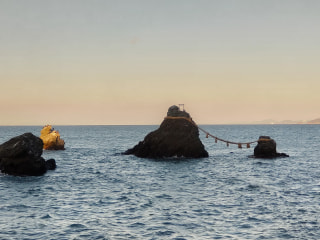 マンゴー隊「今週のアウトドア報告」