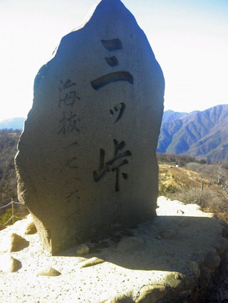 マンゴー隊「富士山の写真」