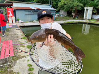 爆釣モーニング「金魚＆コイ実釣レポート」