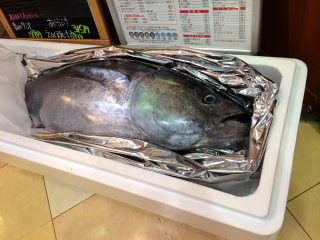 マグロ解体ショー