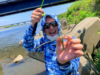 初心者にオススメの釣り「手長エビ釣り」③