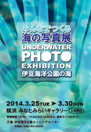 『みんなでつくる海の写真展』開催！