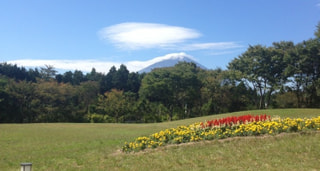 サービスエリアでキャンプしちゃおう！