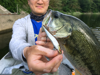 旬のお魚クイズ「コラボバスルアー」②