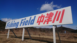 爆釣モーニング実釣取材「エリアトラウト」