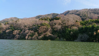 爆釣モーニング実釣取材「津久井湖・ワカサギ釣り」