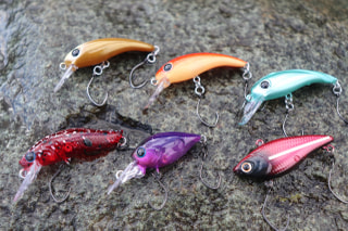 旬のお魚クイズ「エリアトラウト」②