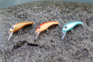 旬のお魚クイズ「エリアトラウト」