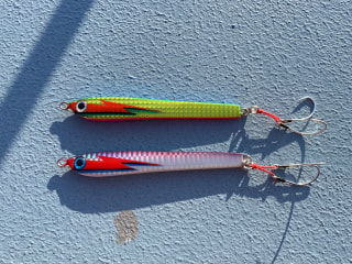 旬のお魚クイズ「シーバス」①