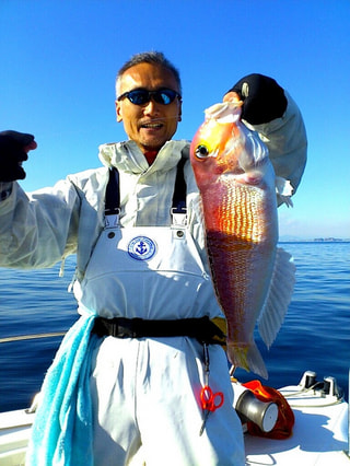 マンゴー隊「今週の釣果報告」