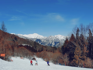 マンゴー隊「今週のアウトドア報告」