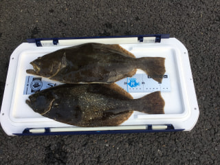 旬のお魚クイズ「ヒラメ」③