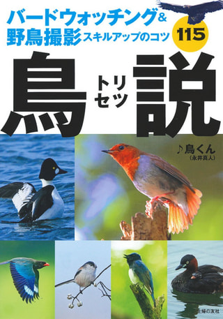 バードウォッチング＆野鳥撮影スキルアップのコツ / ♪鳥くん（永井真人）さん著