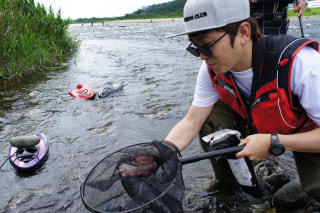 初心者にオススメの釣り「鮎の毛バリ釣り」②