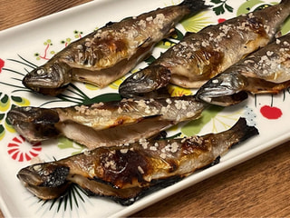 初心者にオススメの釣り「渓流釣り」①