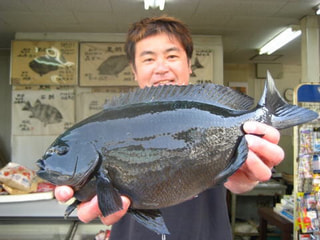 初心者にオススメの釣り「海釣り公園」②