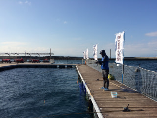 １月の釣り「海上釣堀」③