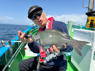 爆釣モーニング「ライト五目釣り」実釣レポート