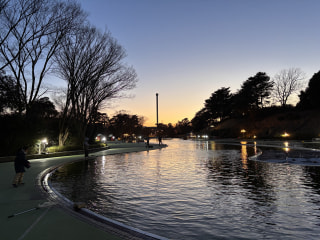 マンゴー隊「今週のアウトドア報告」