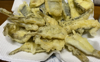 初心者におすすめの釣り「ハゼ釣り④」