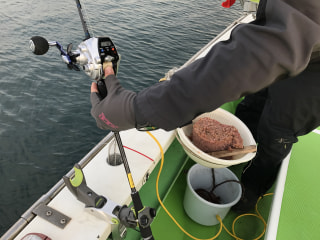 初心者にオススメの釣り「ライト五目」②