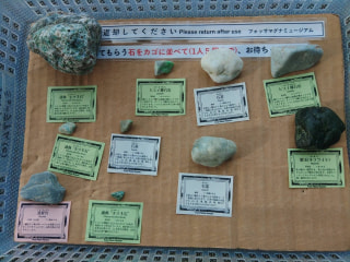 マンゴー隊「今週のアウトドア報告」