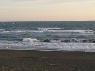 今日の波情報1/25