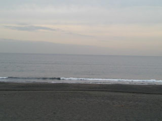 今日の波情報2/8