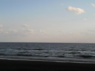 今日の波情報3/8