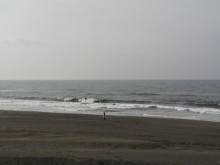 今日の波情報3/29