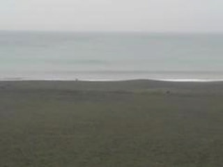 今日の波情報4/11