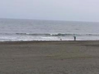 今日の波情報6/13