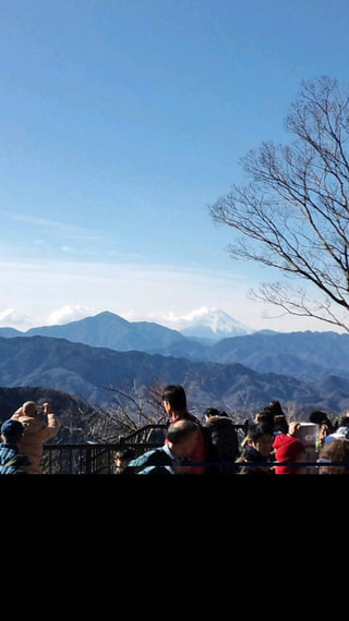 マンゴー隊「高尾山」報告