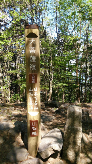 マンゴー隊「今週の登山報告」