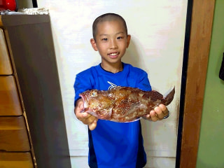 マンゴー隊「今週の釣果報告」