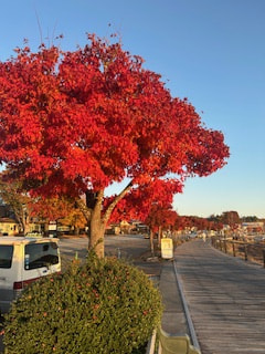 マンゴー隊「今週のアウトドア報告」