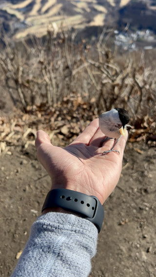 マンゴー隊「今週のアウトドア報告」