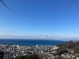 マンゴー隊「今週の報告」