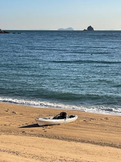 マンゴー隊「今週のアウトドア報告」