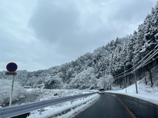 マンゴー隊「今週のアウトドア報告」