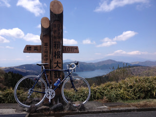 マンゴー隊「自転車報告」