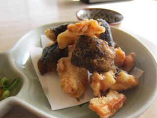カマゲンメール4/14