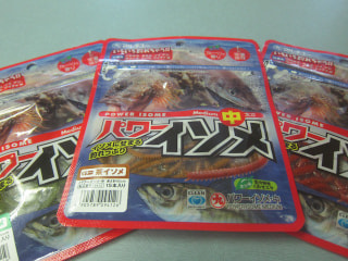 カマゲンメール11/12