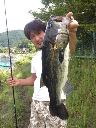 マンゴー隊「今週の釣果報告」
