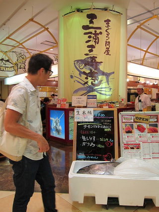 ザバーンを聴いて、三崎のマグロを食べよう！