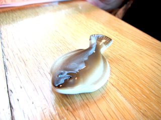 カマゲンメール８／３１