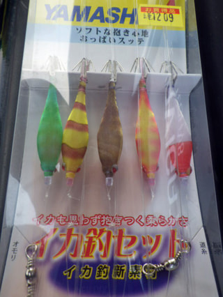 マルイカ釣りにチャレンジ！