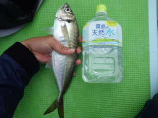 赤ワインのＤＯチャレンジ「アジの干物の燻製」