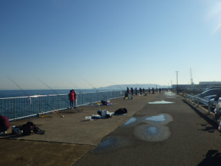 三浦半島釣行で２目追加か？！