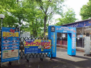 チョウザメが釣れるって聞いたんですけど？！